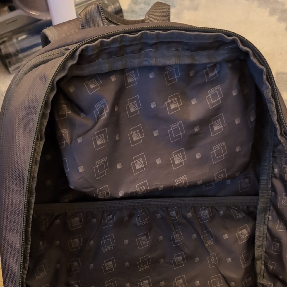 Calpak Travel Backpack - Picture 3 of 8